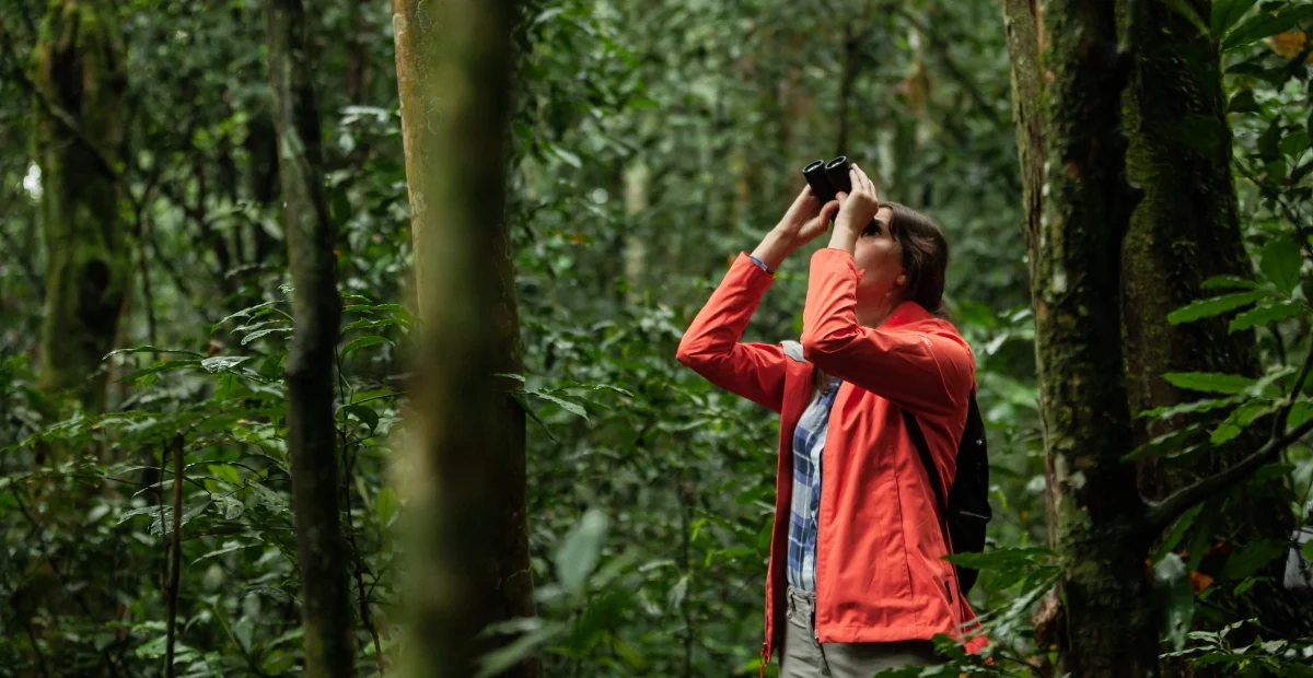 Wildlife Jungle Safari in Nepal: A Complete Guide for Women Adventurers