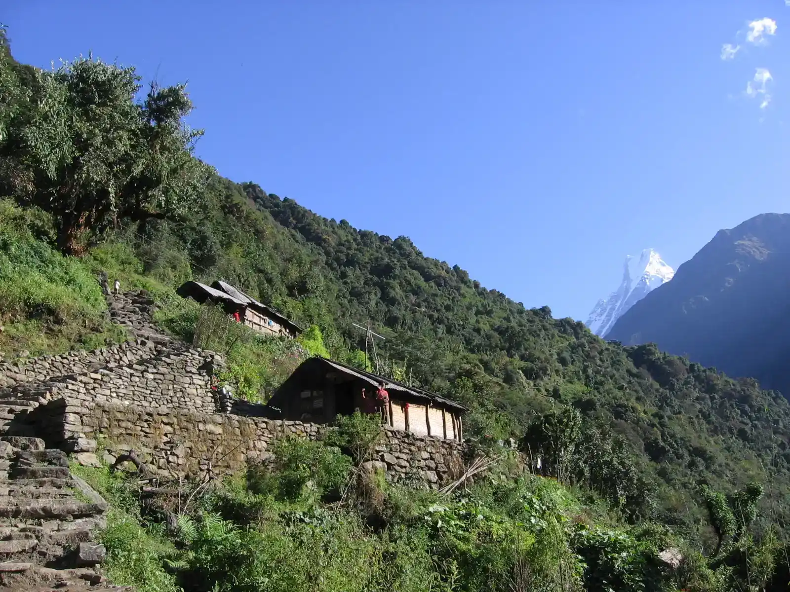 annapurna-base-camp-trekking-food-and-culture-image