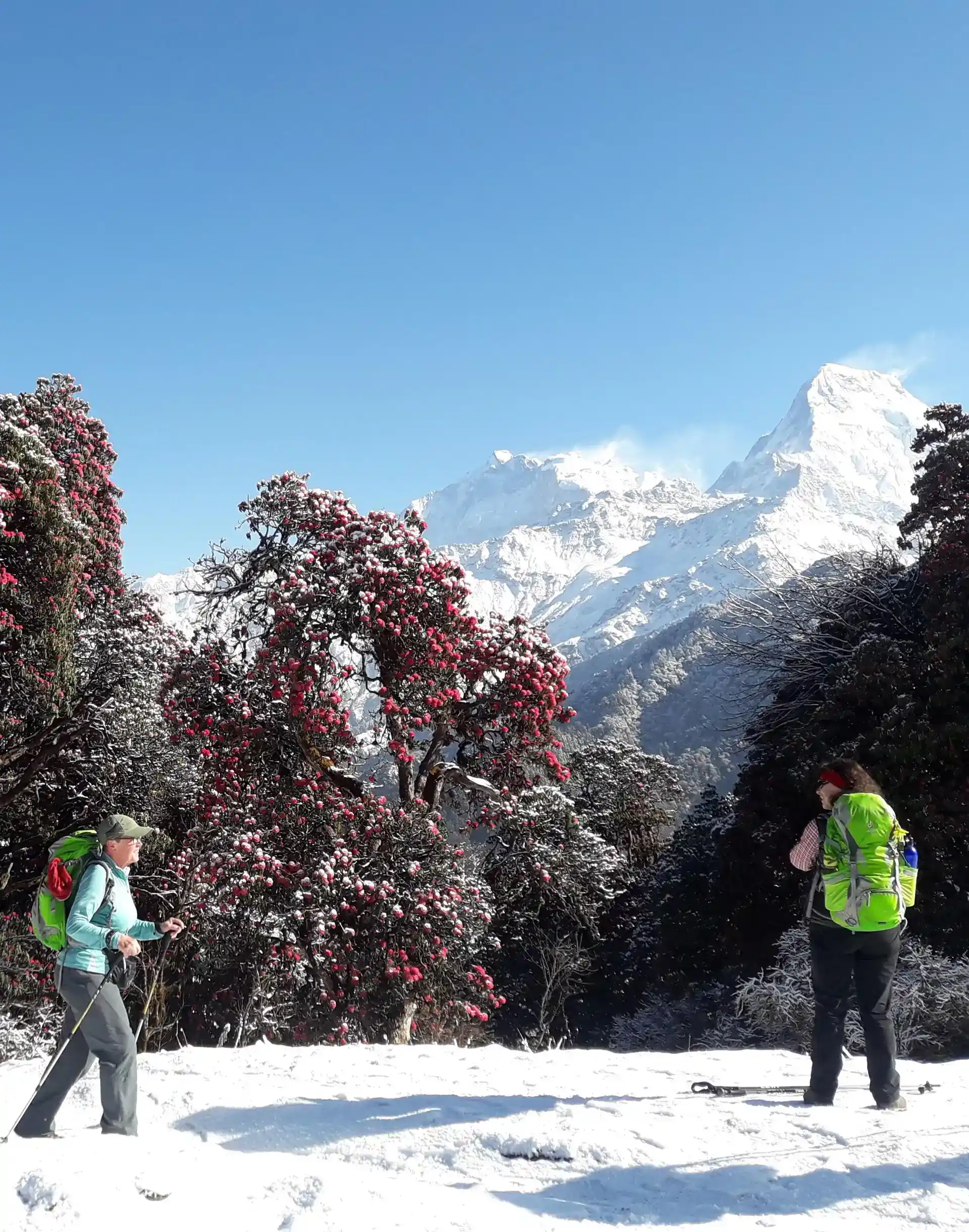 annapurna-base-camp-trekking-highlight-image