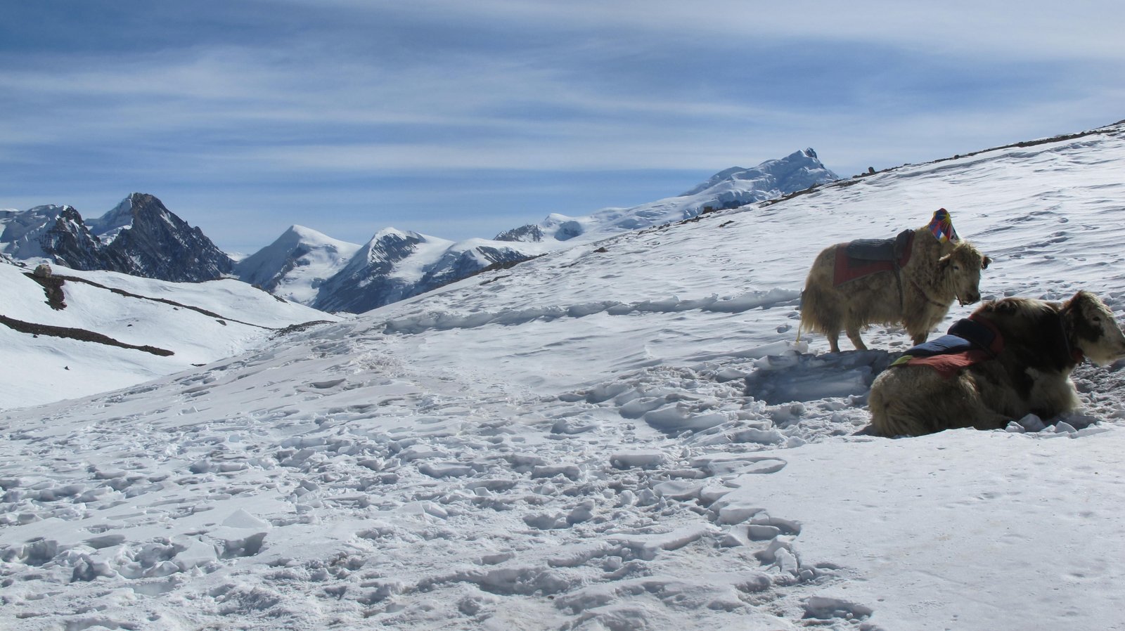 annapurna-circuit-trekking-road-and-trails-image
