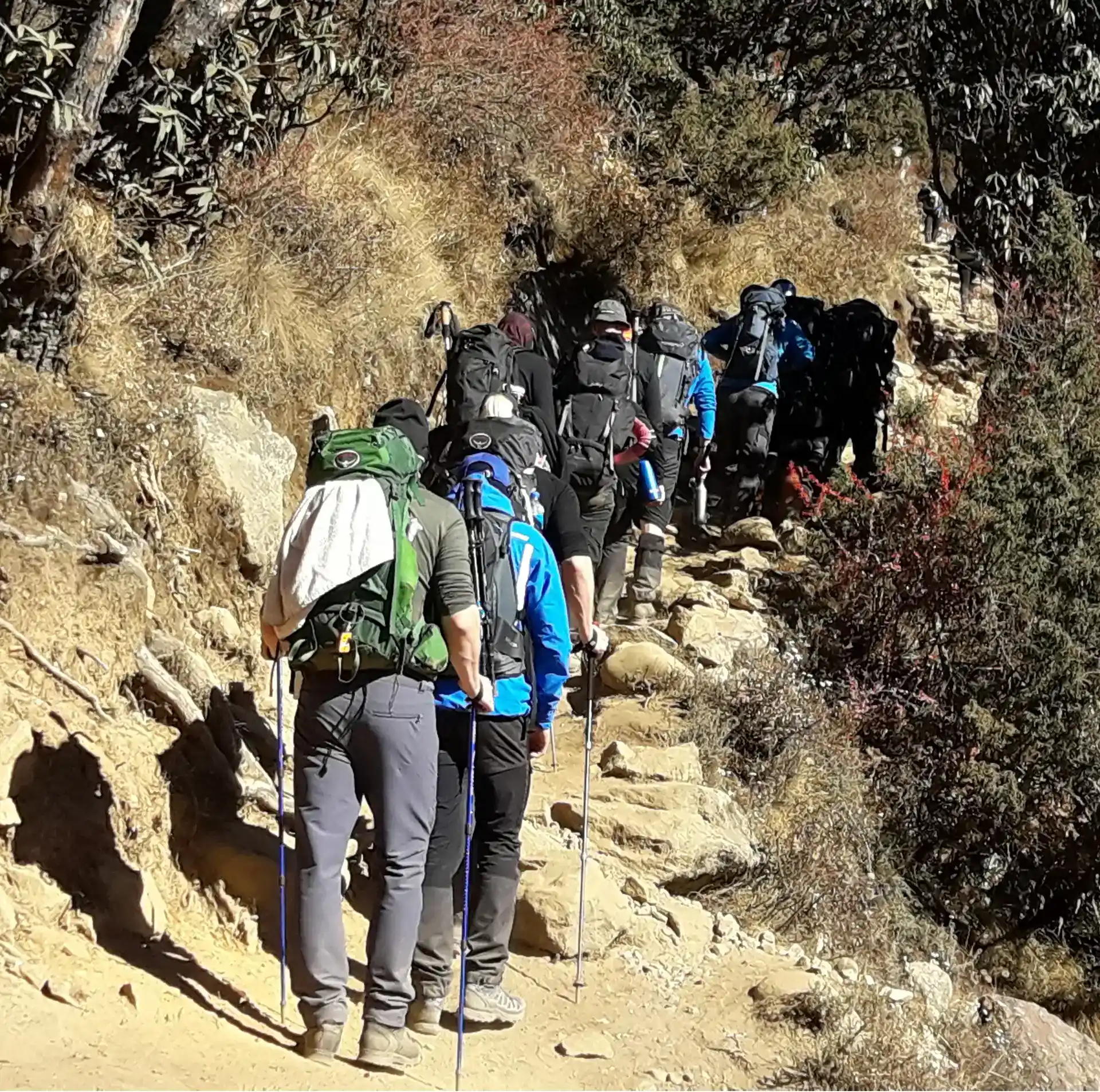 gokyo-to-everest-base-camp-via-cho-la-pass-trekking-road-and-trails-image