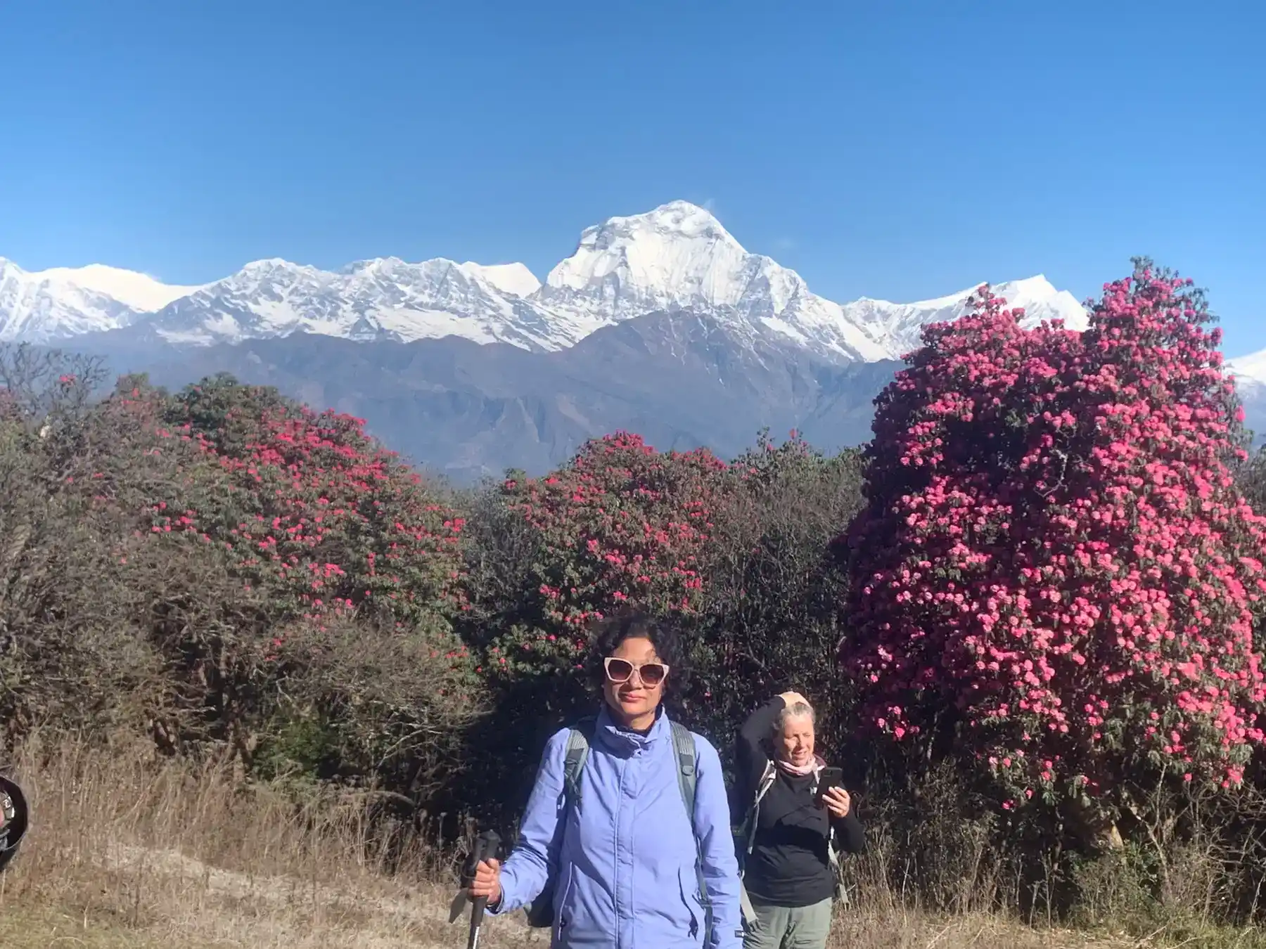 mohare-danda-trekking-trip-overview-image