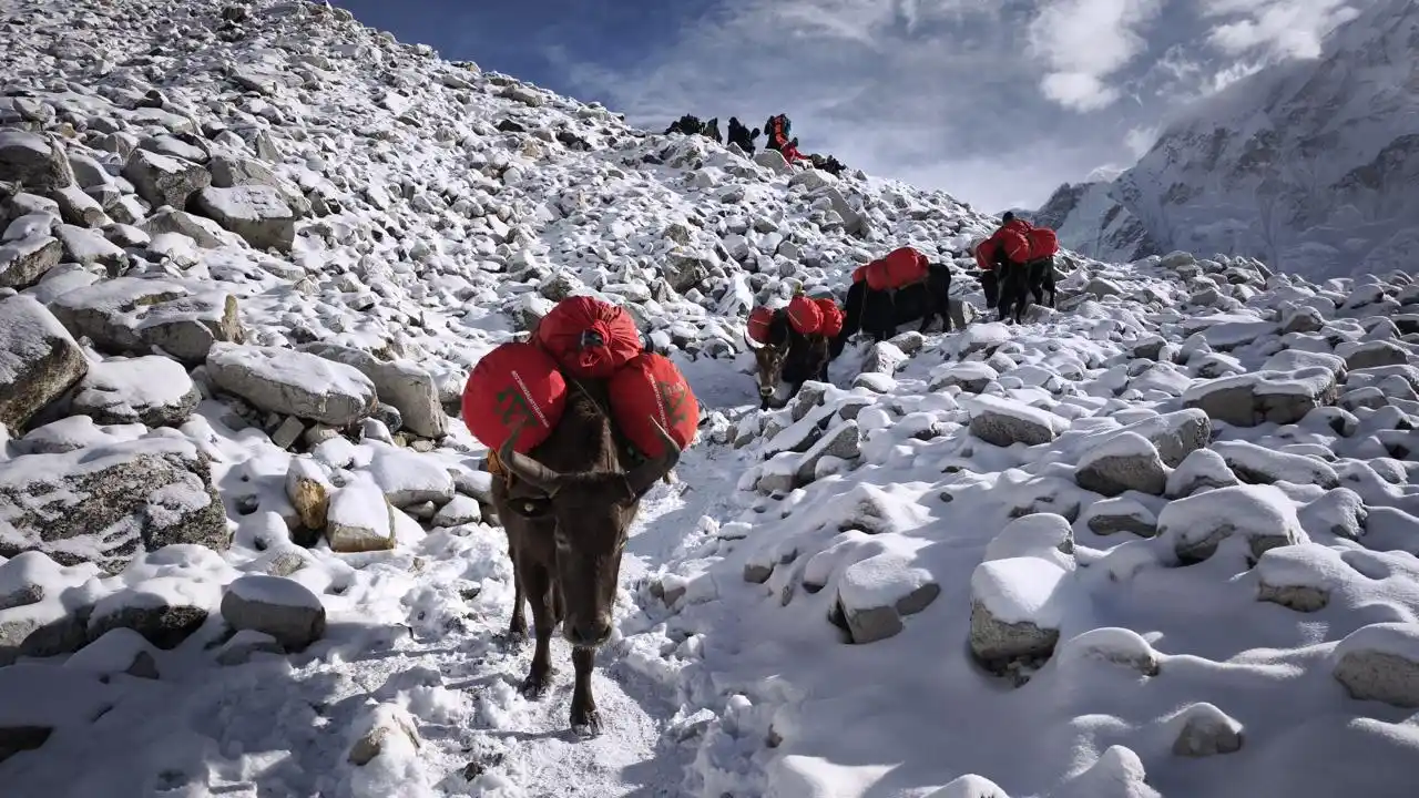 gokyo-valley-trekking-road-and-trails-image