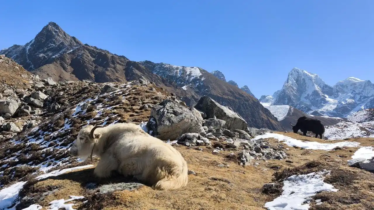 everest-three-high-passes-trekking-road-and-trails-image