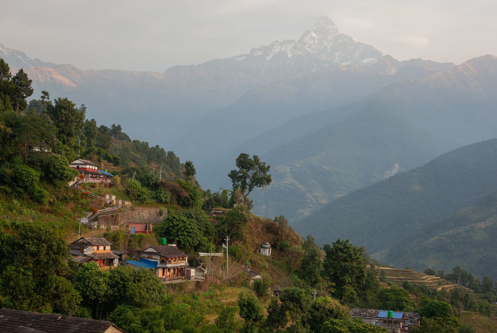 mardi-himal-trekking-food-and-culture-image
