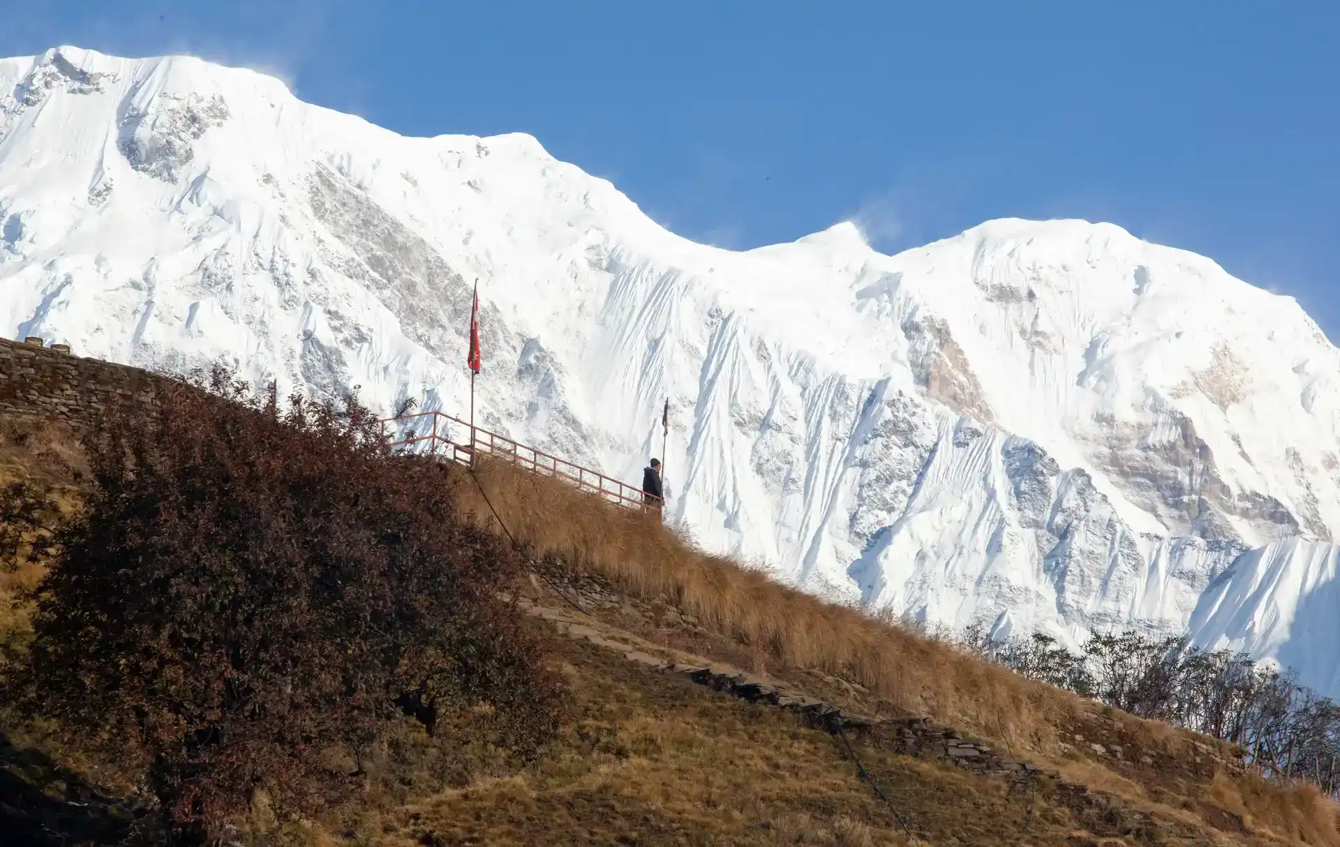 mardi-himal-trekking-road-and-trails-image