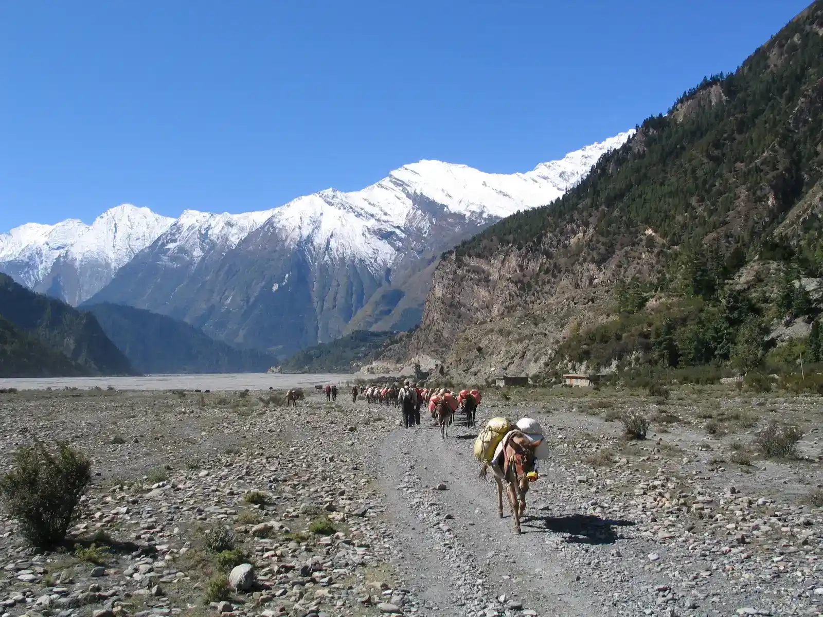 Annapurna Circuit Trekking : A Transformational Trek for Women