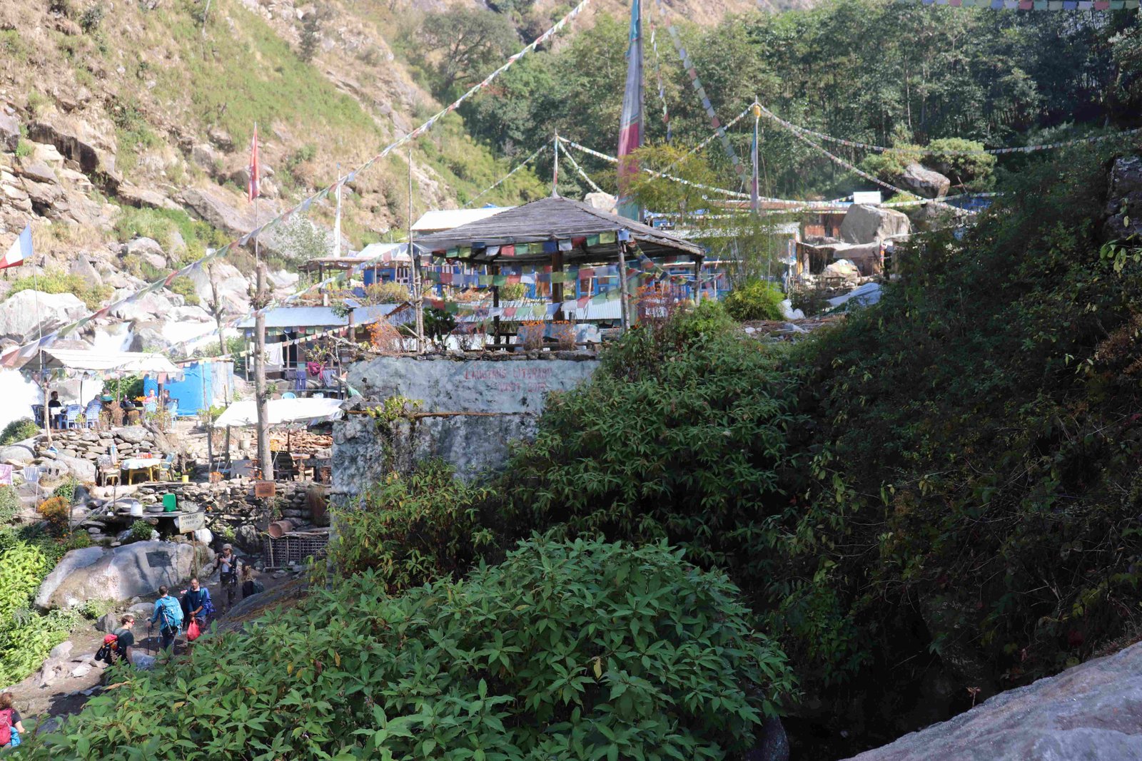 langtang-valley-trekking-food-and-culture-image