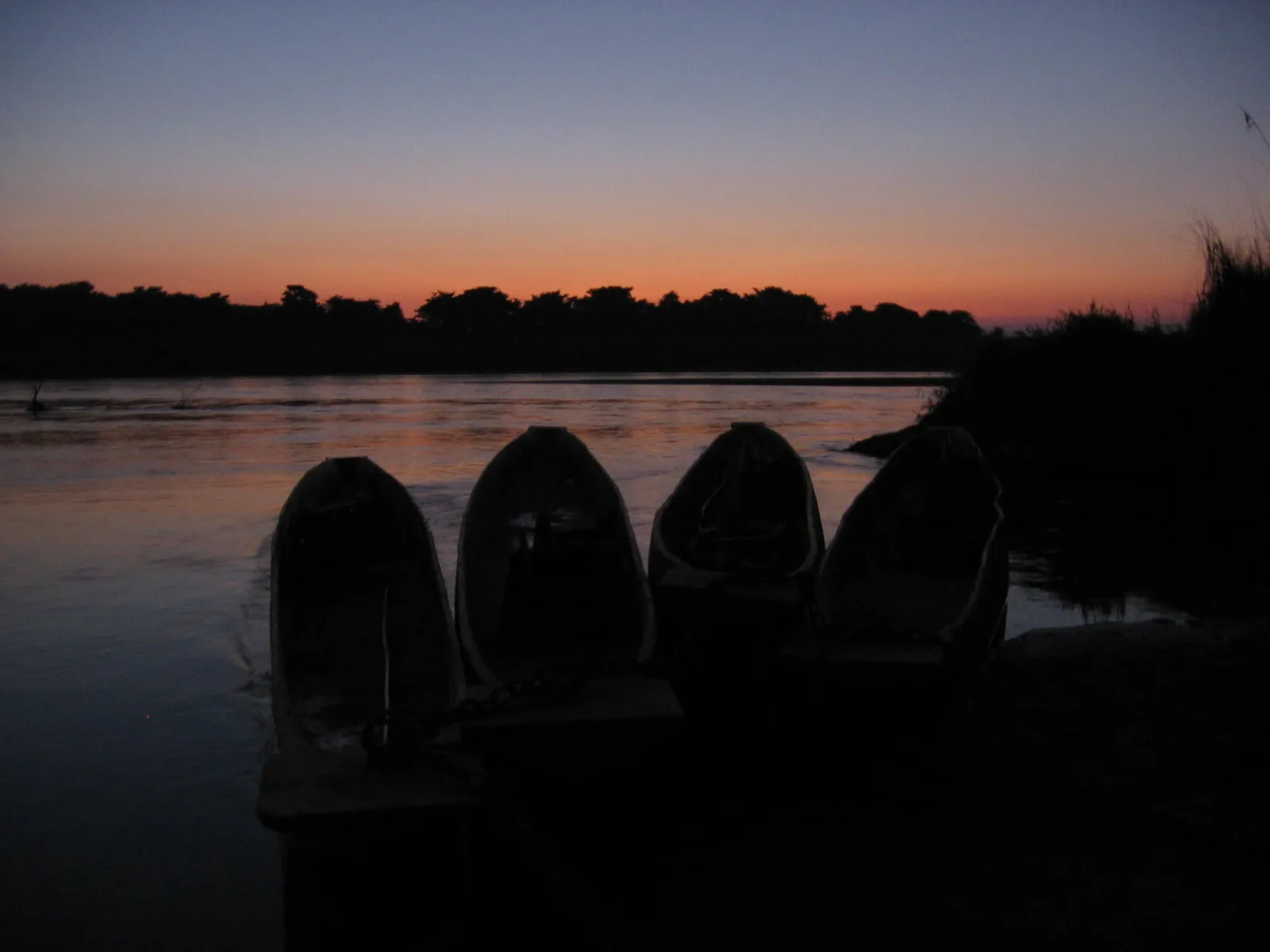 chitwan-national-park-wildlife-safari-road-and-trails-image