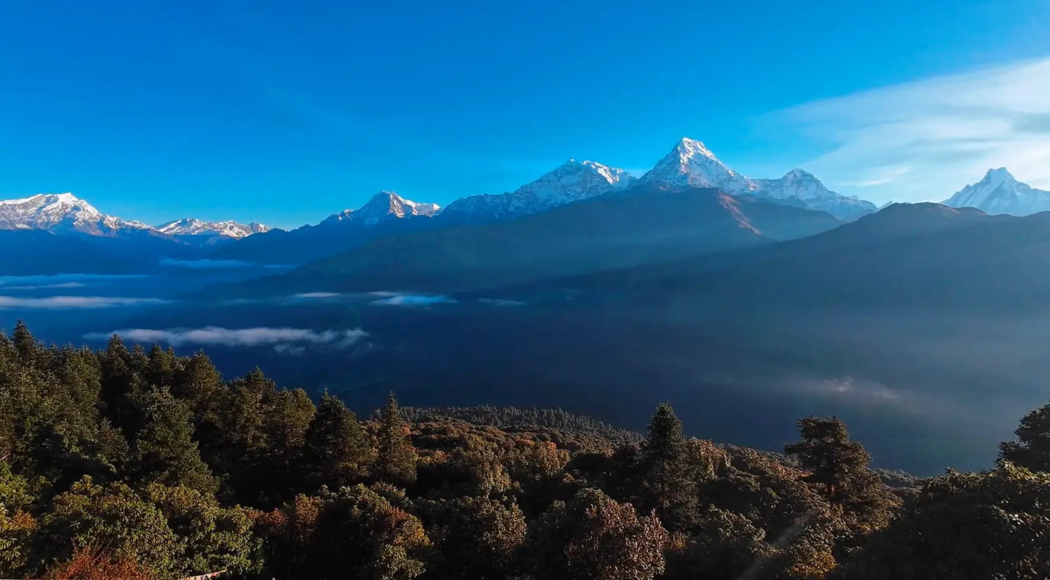 ghorepani-poonhill-trekking-road-and-trails-image