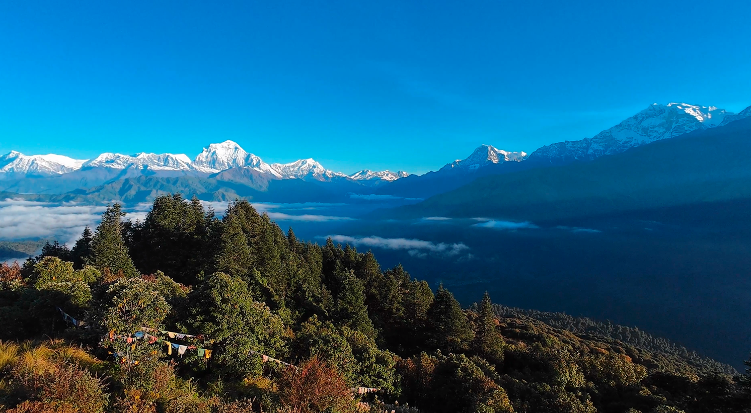 Ghorepani Poonhill Trekking