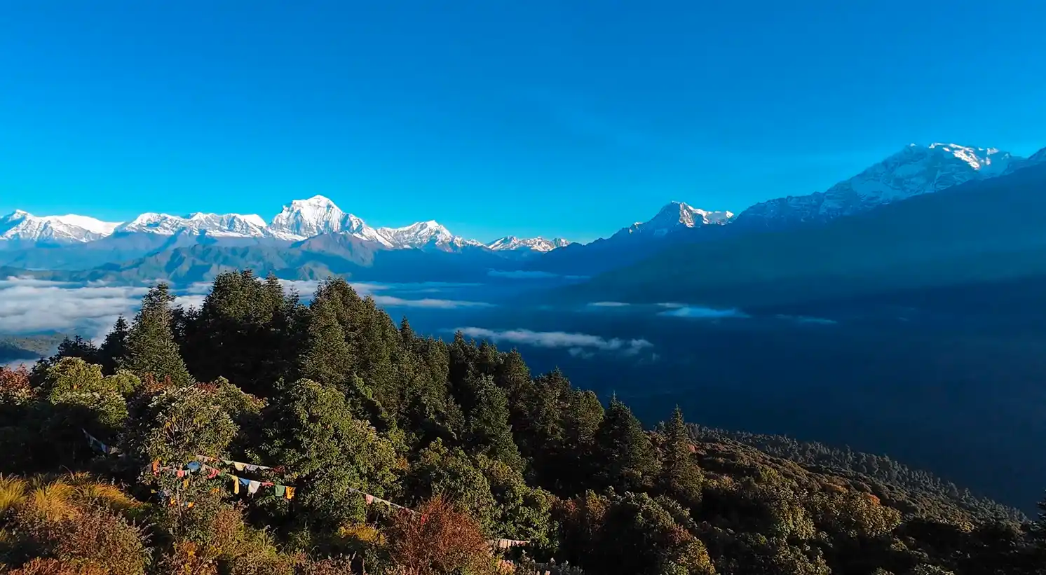 Ghorepani Poonhill Trekking : Short & Rewarding Trek for Women