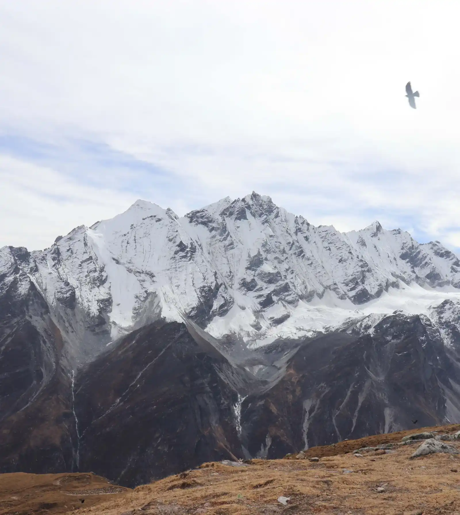 Langtang Valley & Gosainkunda Trekking : Spiritual Journey for Women