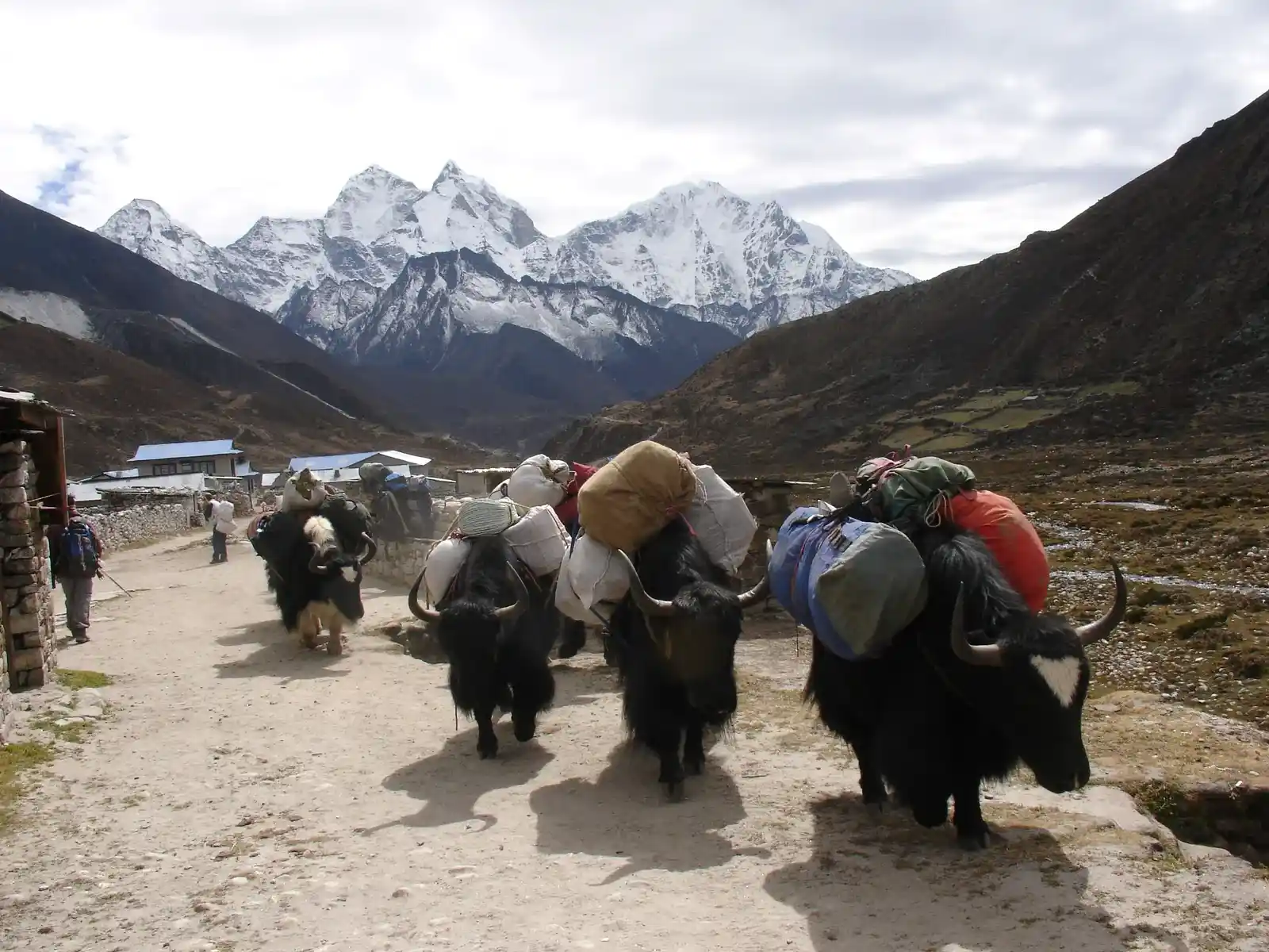 Everest Panorama Trekking : Scenic & Comfortable for Women