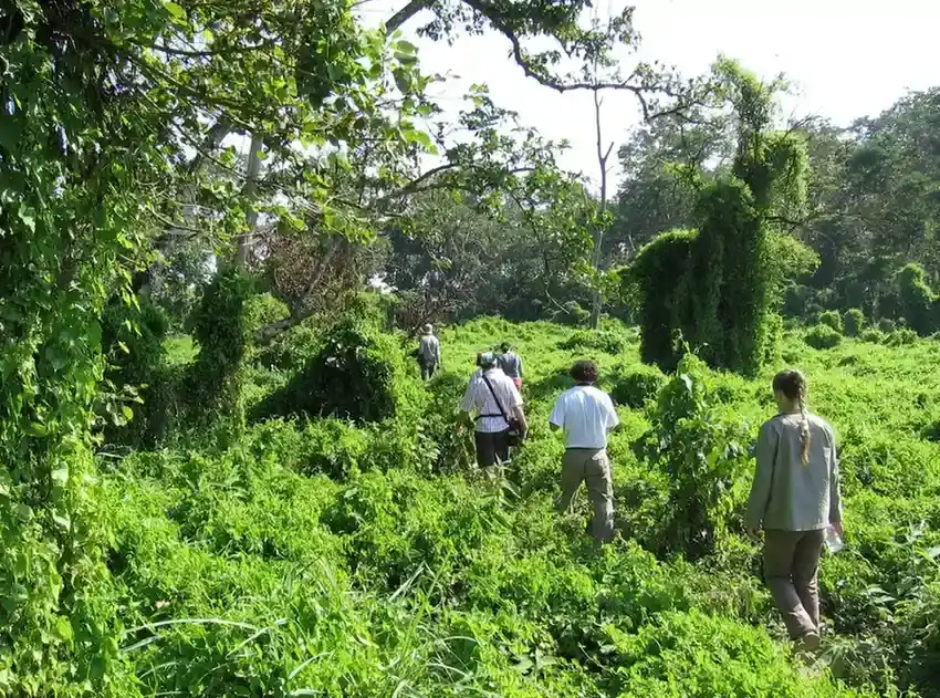chitwan-national-park-wildlife-safari-trip-overview-image