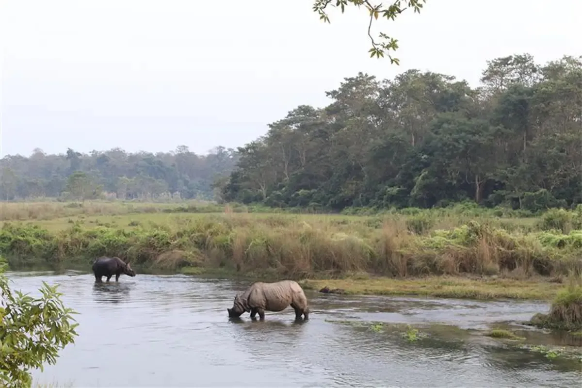 Best Time to Visit Chitwan