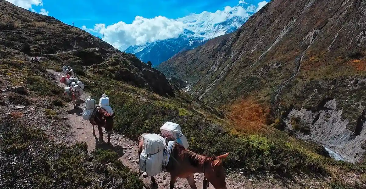 Best Time to Trek – Weather Comparison