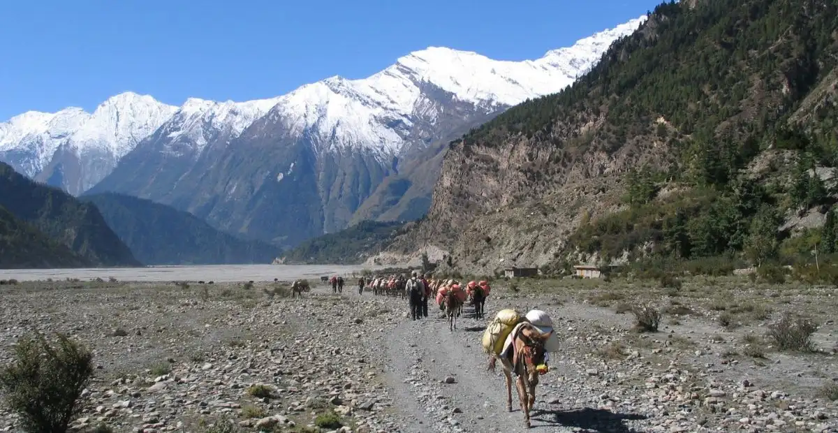 Annapurna Circuit Trek Difficulty