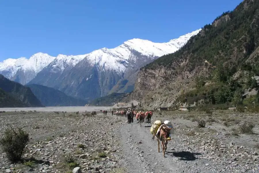 Average Duration of the Annapurna Base Camp Trek