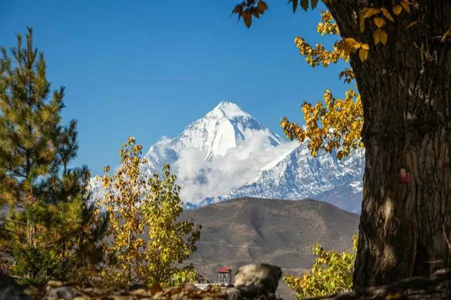 Khopra Danda Trek