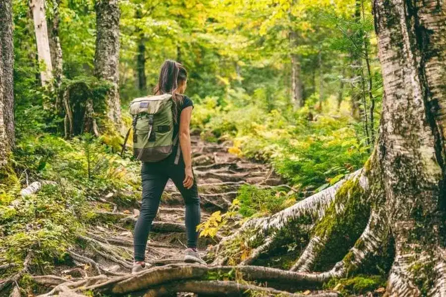 Kakani Suryachaur Hiking