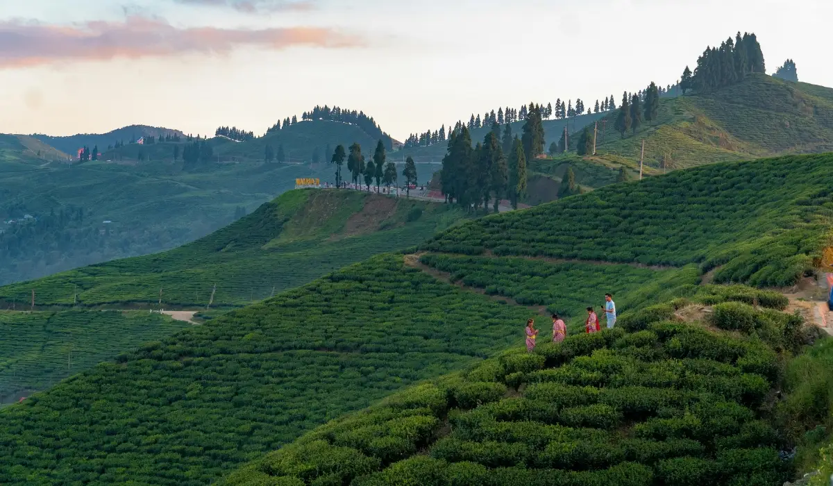 Autumn (September to November): Ideal for Women Seeking Peak Experience