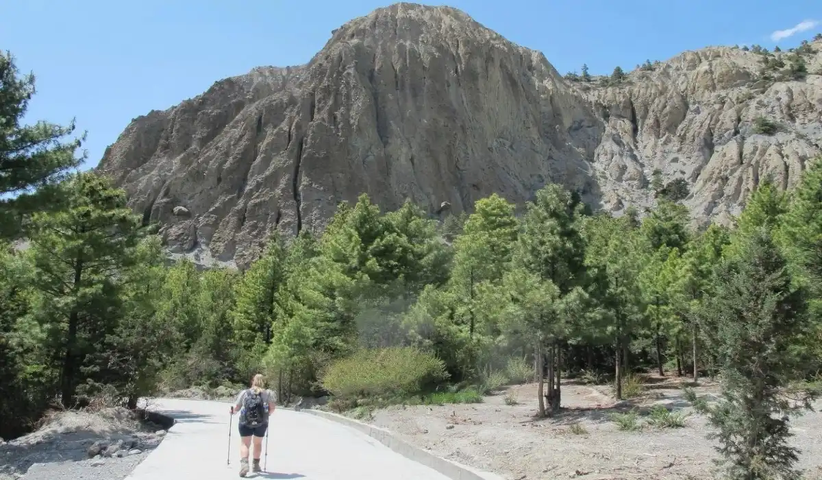 Solo vs Group Trekking for Women