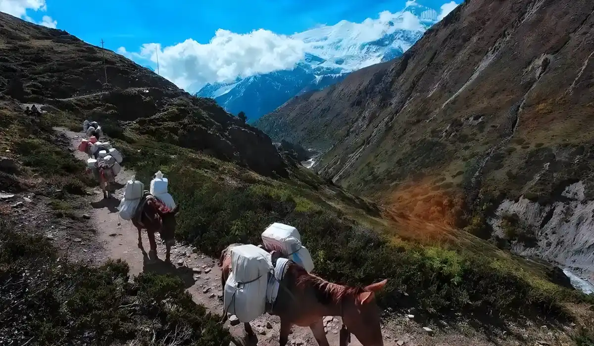 Things to Consider When Choosing the Best Time to Trek Annapurna Circuit