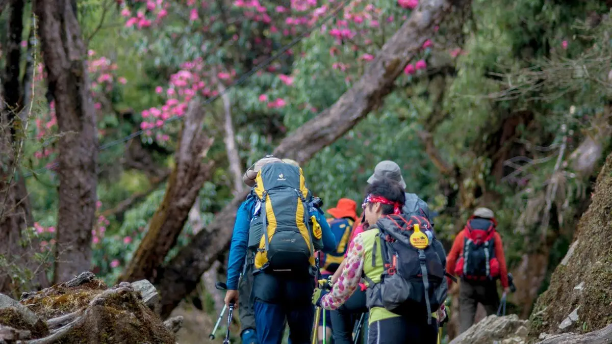 Best Seasons for Day Hiking in Nepal