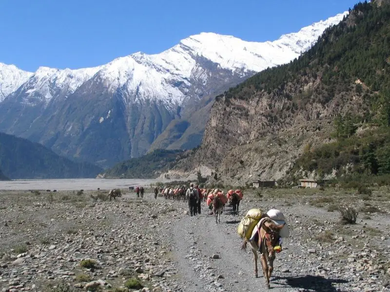 Annapurna Circuit, Everest Three Passes & Kanchenjunga