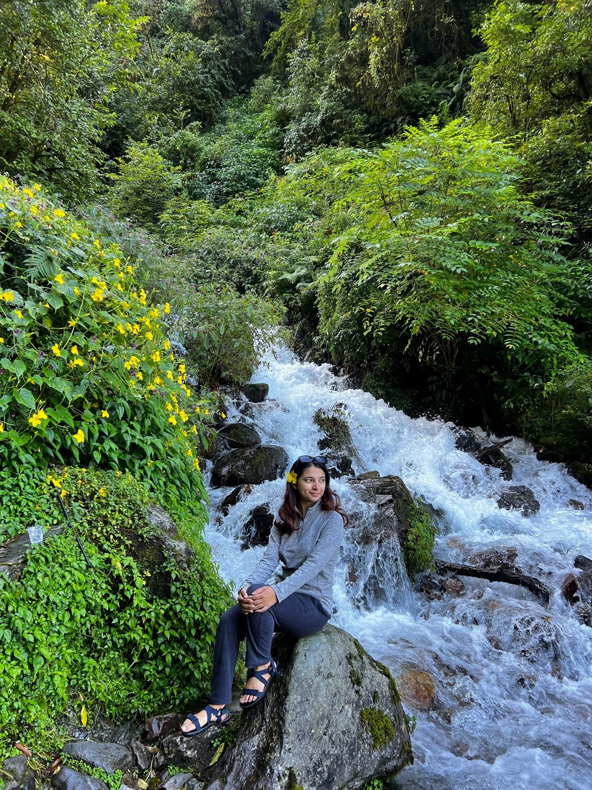 Aabha Subedi